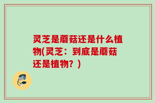 灵芝是蘑菇还是什么植物(灵芝:到底是蘑菇还是植物?) 灵芝是蘑菇还是什么植物(灵芝:到底是蘑菇还是植物?)