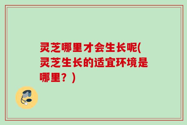 灵芝哪里才会生长呢(灵芝生长的适宜环境是哪里？)
