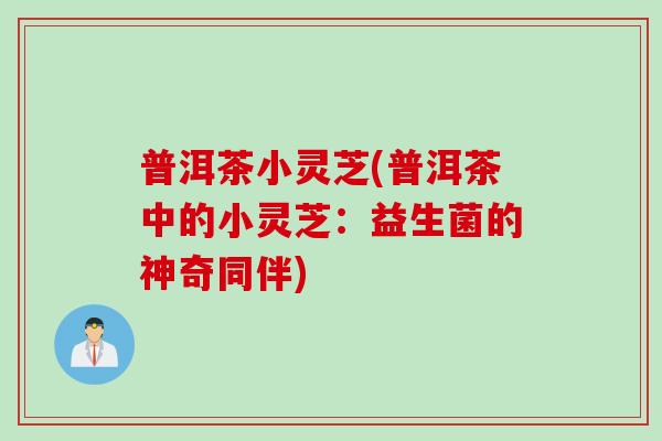 普洱茶小灵芝(普洱茶中的小灵芝：益生菌的神奇同伴)