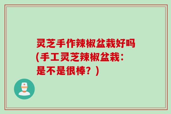 灵芝手作辣椒盆栽好吗(手工灵芝辣椒盆栽：是不是很棒？)