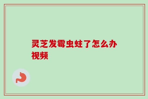 灵芝发霉虫蛀了怎么办视频