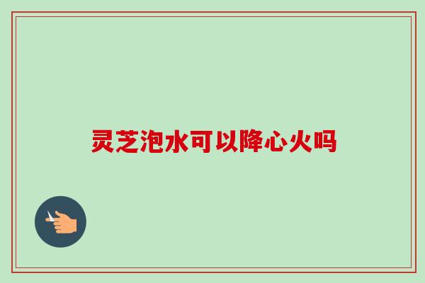 灵芝泡水可以降心火吗