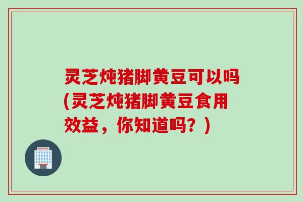 灵芝炖猪脚黄豆可以吗(灵芝炖猪脚黄豆食用效益，你知道吗？)