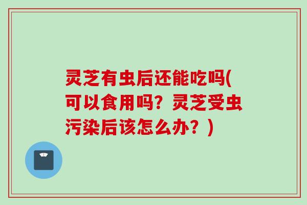 灵芝有虫后还能吃吗(可以食用吗？灵芝受虫污染后该怎么办？)
