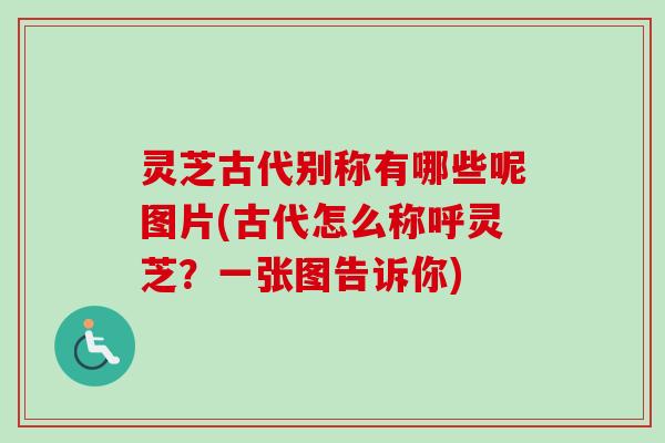 灵芝古代别称有哪些呢图片(古代怎么称呼灵芝？一张图告诉你)