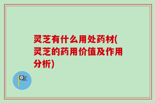 灵芝有什么用处药材(灵芝的药用价值及作用分析)
