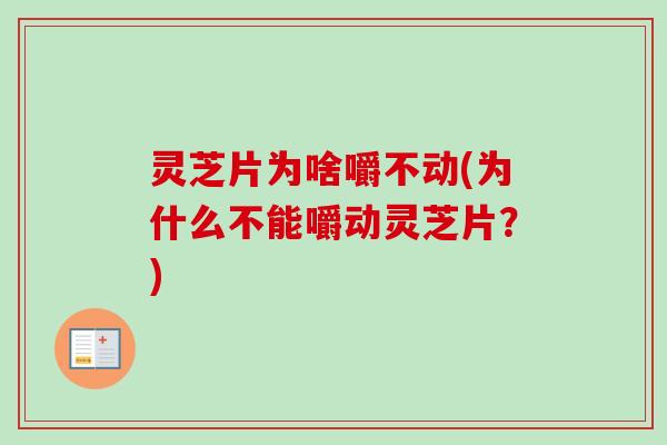 灵芝片为啥嚼不动(为什么不能嚼动灵芝片？)