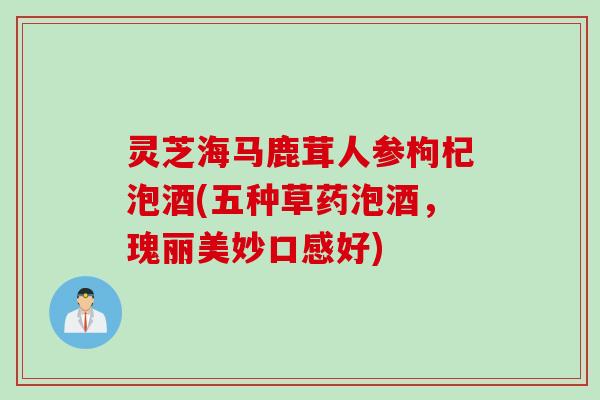 灵芝海马鹿茸人参枸杞泡酒(五种草药泡酒，瑰丽美妙口感好)