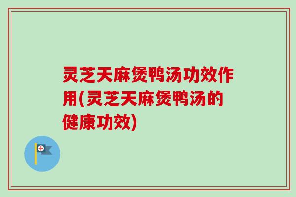 灵芝天麻煲鸭汤功效作用(灵芝天麻煲鸭汤的健康功效)