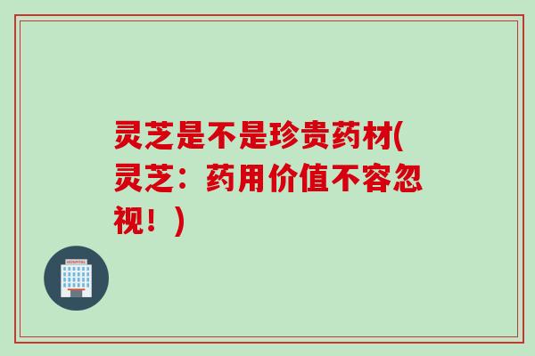 灵芝是不是珍贵药材(灵芝：药用价值不容忽视！)