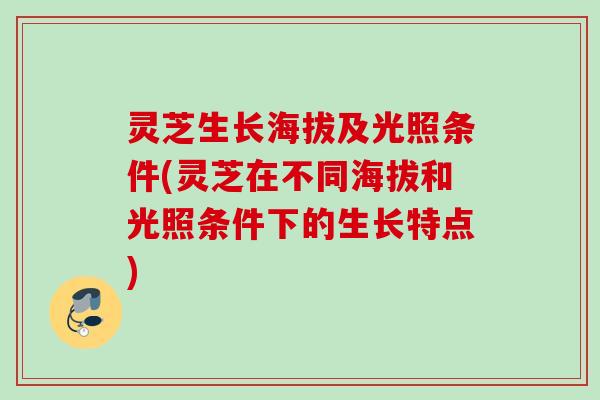 灵芝生长海拔及光照条件(灵芝在不同海拔和光照条件下的生长特点)