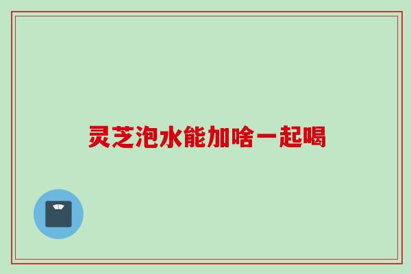 灵芝泡水能加啥一起喝