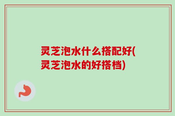 灵芝泡水什么搭配好(灵芝泡水的好搭档)