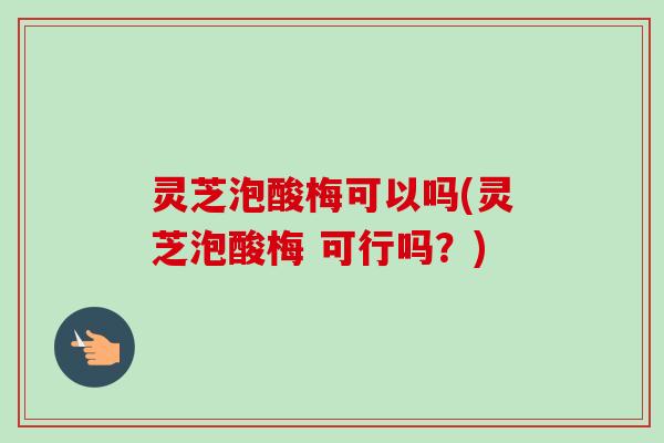 灵芝泡酸梅可以吗(灵芝泡酸梅 可行吗？)