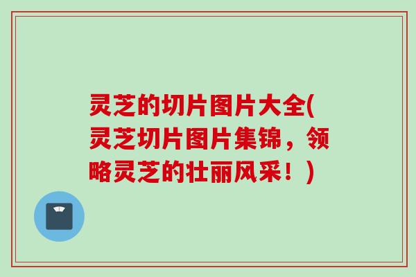 灵芝的切片图片大全(灵芝切片图片集锦，领略灵芝的壮丽风采！)