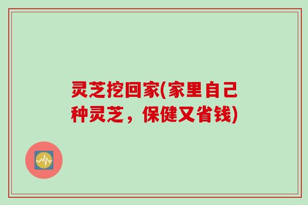 灵芝挖回家(家里自己种灵芝，保健又省钱)