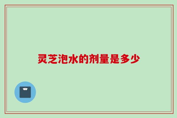 灵芝泡水的剂量是多少