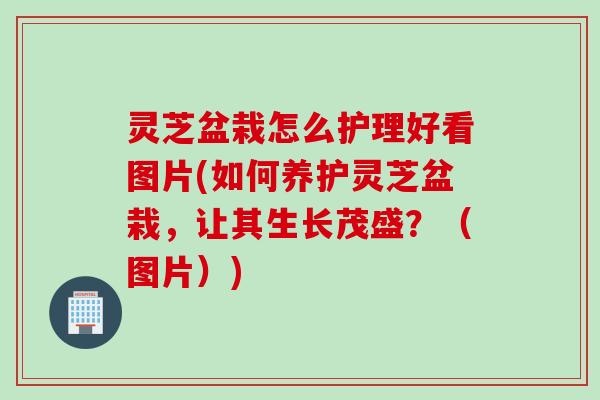 灵芝盆栽怎么护理好看图片(如何养护灵芝盆栽，让其生长茂盛？（图片）)