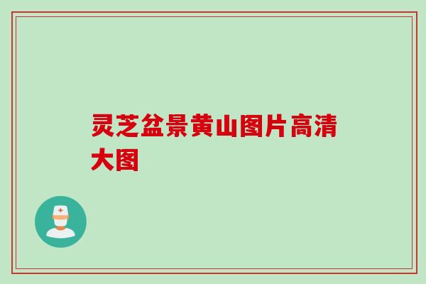 灵芝盆景黄山图片高清大图