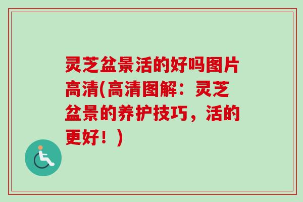 灵芝盆景活的好吗图片高清(高清图解：灵芝盆景的养护技巧，活的更好！)