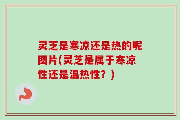 灵芝是寒凉还是热的呢图片(灵芝是属于寒凉性还是温热性？)