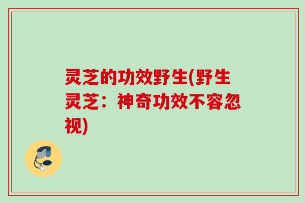 灵芝的功效野生(野生灵芝：神奇功效不容忽视)