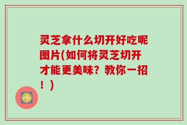 灵芝拿什么切开好吃呢图片(如何将灵芝切开才能更美味？教你一招！)