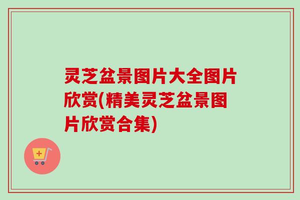 灵芝盆景图片大全图片欣赏(精美灵芝盆景图片欣赏合集)