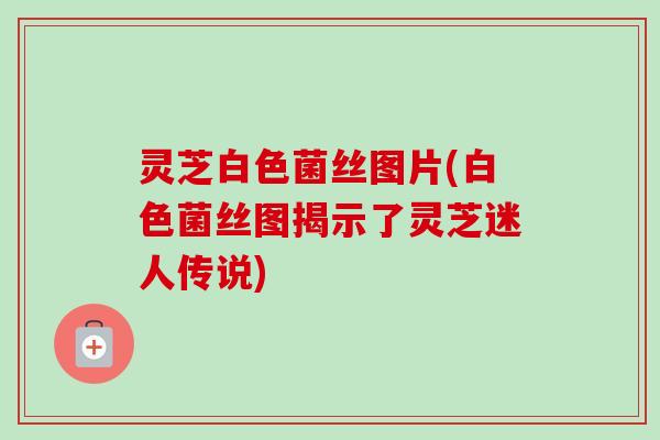灵芝白色菌丝图片(白色菌丝图揭示了灵芝迷人传说)