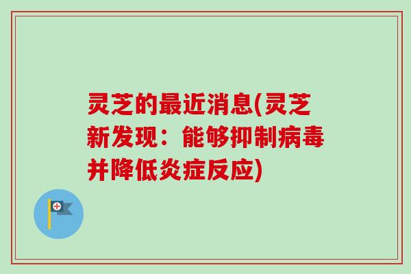 灵芝的最近消息(灵芝新发现：能够抑制病毒并降低炎症反应)