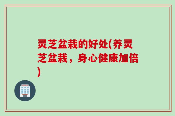 灵芝盆栽的好处(养灵芝盆栽，身心健康加倍)