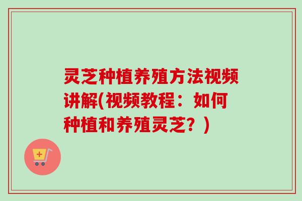灵芝种植养殖方法视频讲解(视频教程:如何种植和养殖灵芝?) 灵芝种植养殖方法视频讲解(视频教程:如何种植和养殖灵芝?)
