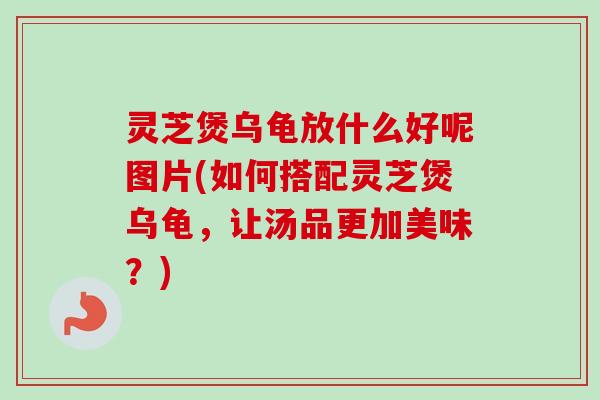 灵芝煲乌龟放什么好呢图片(如何搭配灵芝煲乌龟，让汤品更加美味？)