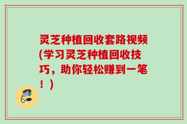 灵芝种植回收套路视频(学习灵芝种植回收技巧，助你轻松赚到一笔！)