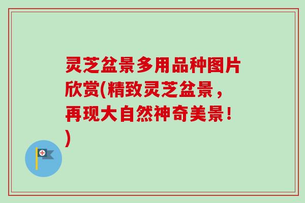 灵芝盆景多用品种图片欣赏(精致灵芝盆景，再现大自然神奇美景！)