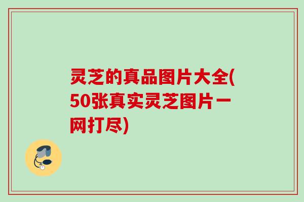 灵芝的真品图片大全(50张真实灵芝图片一网打尽)