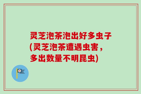 灵芝泡茶泡出好多虫子(灵芝泡茶遭遇虫害，多出数量不明昆虫)