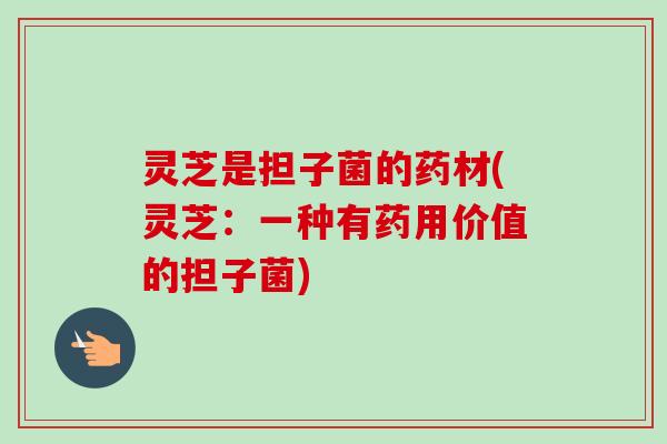 灵芝是担子菌的药材(灵芝：一种有药用价值的担子菌)