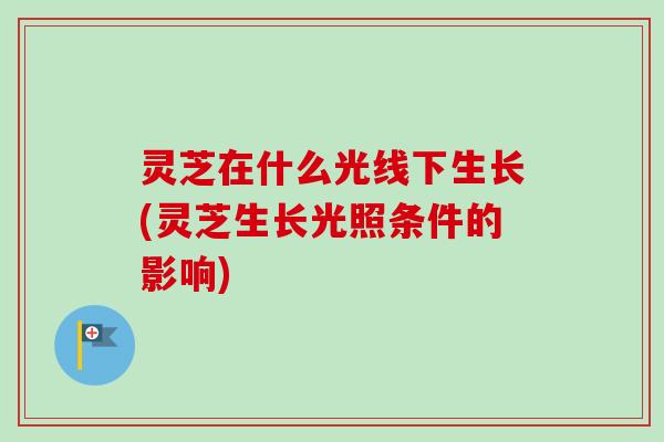灵芝在什么光线下生长(灵芝生长光照条件的影响)