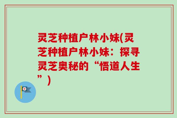 灵芝种植户林小妹(灵芝种植户林小妹：探寻灵芝奥秘的“悟道人生”)