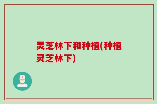 灵芝林下和种植(种植灵芝林下)