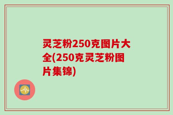 灵芝粉250克图片大全(250克灵芝粉图片集锦)