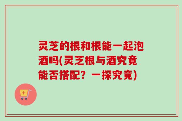 灵芝的根和根能一起泡酒吗(灵芝根与酒究竟能否搭配？一探究竟)
