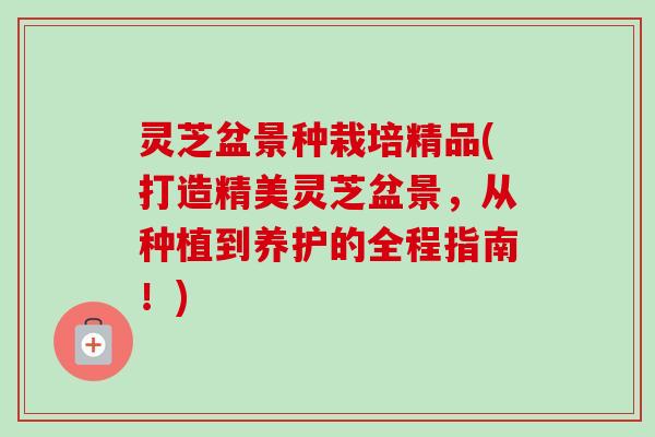 灵芝盆景种栽培精品(打造精美灵芝盆景，从种植到养护的全程指南！)