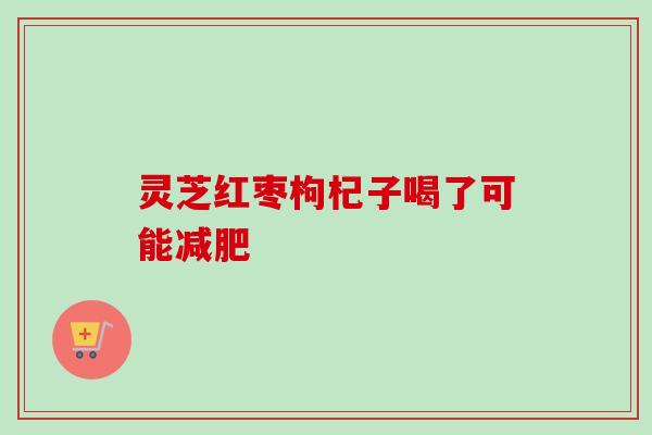 灵芝红枣枸杞子喝了可能减肥