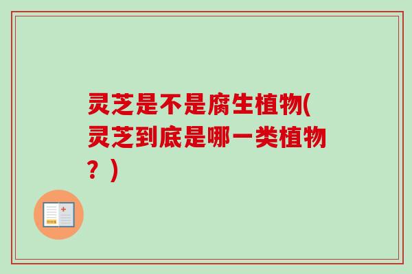 灵芝是不是腐生植物(灵芝到底是哪一类植物？)
