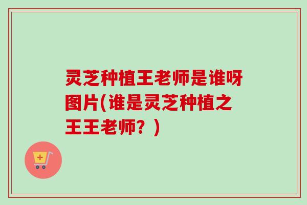 灵芝种植王老师是谁呀图片(谁是灵芝种植之王王老师?) 灵芝种植王老师是谁呀图片(谁是灵芝种植之王王老师?)