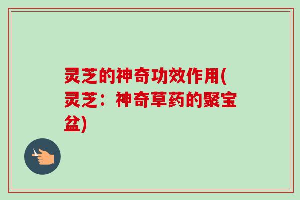 灵芝的神奇功效作用(灵芝：神奇草药的聚宝盆)