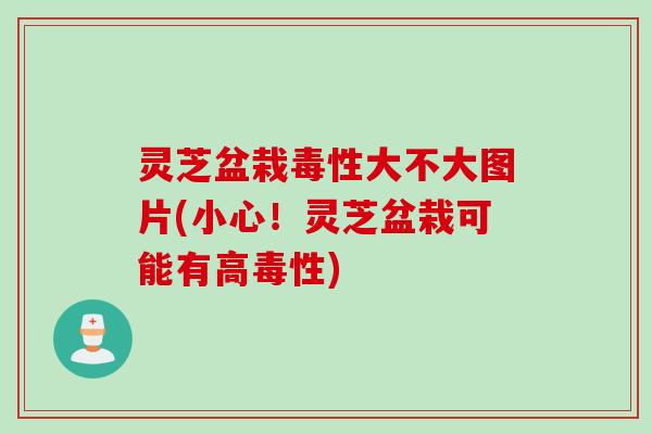 灵芝盆栽毒性大不大图片(小心！灵芝盆栽可能有高毒性)