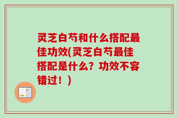灵芝白芍和什么搭配最佳功效(灵芝白芍最佳搭配是什么？功效不容错过！)